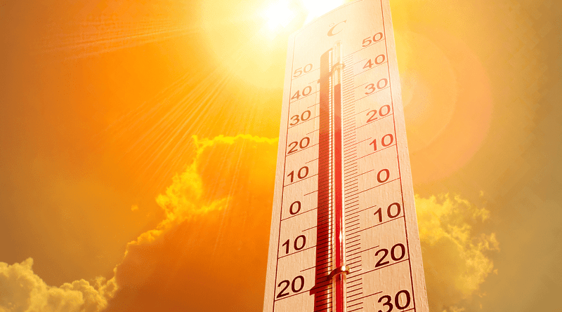 Delhi to face hot and dry weather in the next few days, IMD predicts