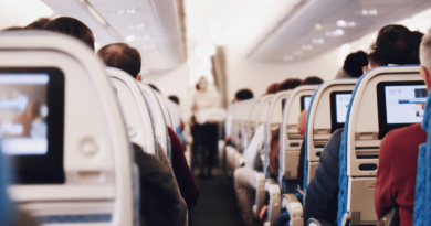 Are Airlines Reducing Air Travel Demand by Hiking Prices?