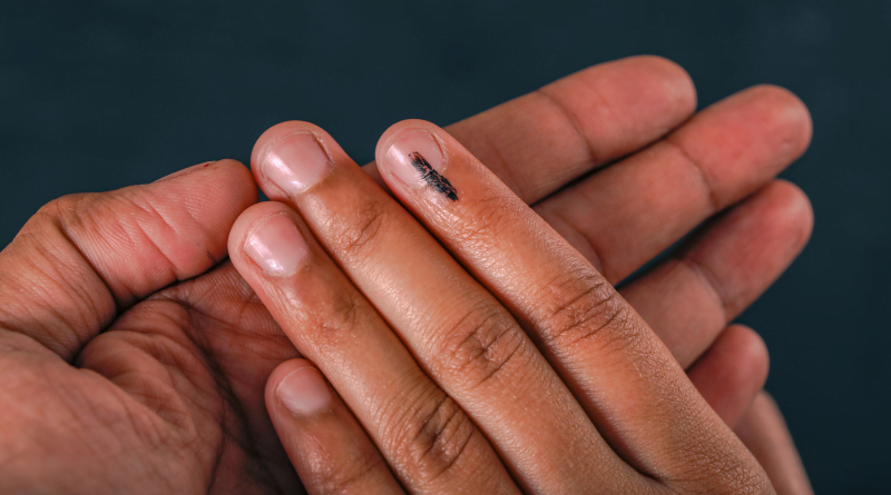 State Elections 2023: Who Has the Upper Hand?