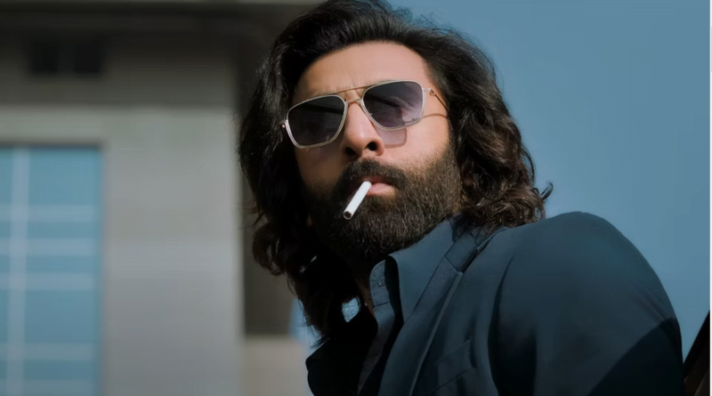 Animal Box Office Collection Continues to Surge on Day 5